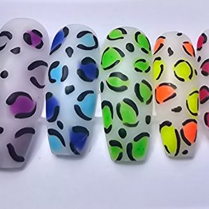 Set 20: Rainbow Leopard